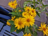 20230714_053208.jpg