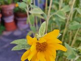 20230714_053227.jpg