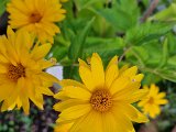 20230714_053244.jpg