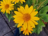 20230714_053306.jpg