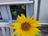 20230714_061357.jpg