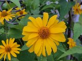20230714_200754(0).jpg