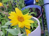 20230714_200817.jpg