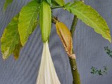 20230714_200943.jpg