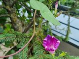 20230717_122511.jpg