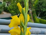 20230718_180841.jpg
