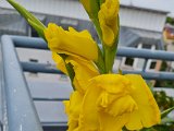 20230718_180905.jpg