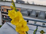 20230721_104345.jpg