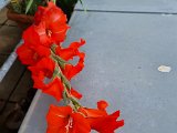 20230721_104833.jpg