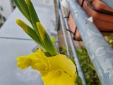 20230721_104906(0).jpg