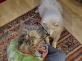 20230801_202309(0).jpg