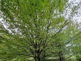 20231009_130740.jpg