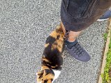 20231009_133603(0).jpg