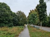 20231009_135211.jpg