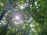 20231011_113937.jpg