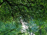 20231011_165415.jpg