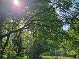 20231012_124619.jpg