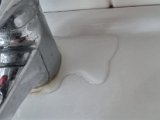 20231013_122248.jpg