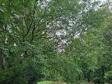 20231015_125420.jpg