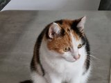 20231015_154632.jpg