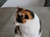 20231015_154637.jpg