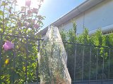 20231016_131516.jpg