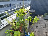 20231017_121053.jpg