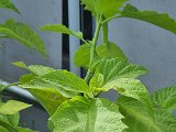 20231017_134005(0).jpg