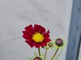 20231017_134151.jpg