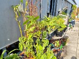 20231018_124251.jpg
