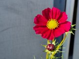 20231018_124332.jpg