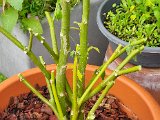 20231020_092743(0).jpg