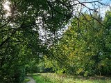 20231023_133558.jpg