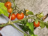 20231026_161532.jpg