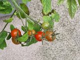 20231026_161544.jpg