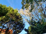 20231028_164931.jpg
