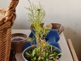 20231102_122838.jpg