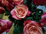 20231103_001526.jpg