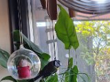 20231105_115933.jpg