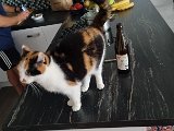 20231111_141351.jpg