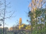 20231112_150733.jpg