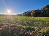 20231112_151228.jpg