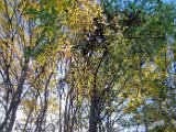 20231112_152234.jpg