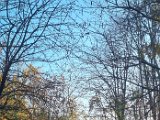 20231112_152738.jpg