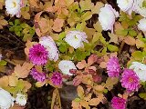 20231123_111518.jpg