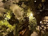 20231125_221743.jpg