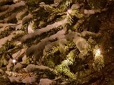 20231125_221802.jpg