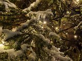 20231125_221920.jpg