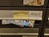 20231128_190255.jpg