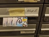 20231130_172243.jpg